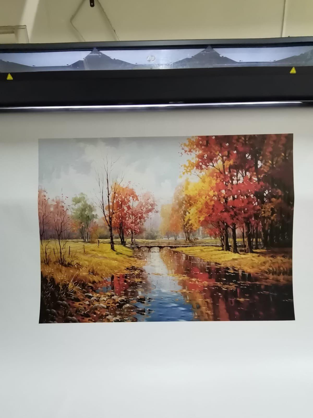 Canvas Premium - 15