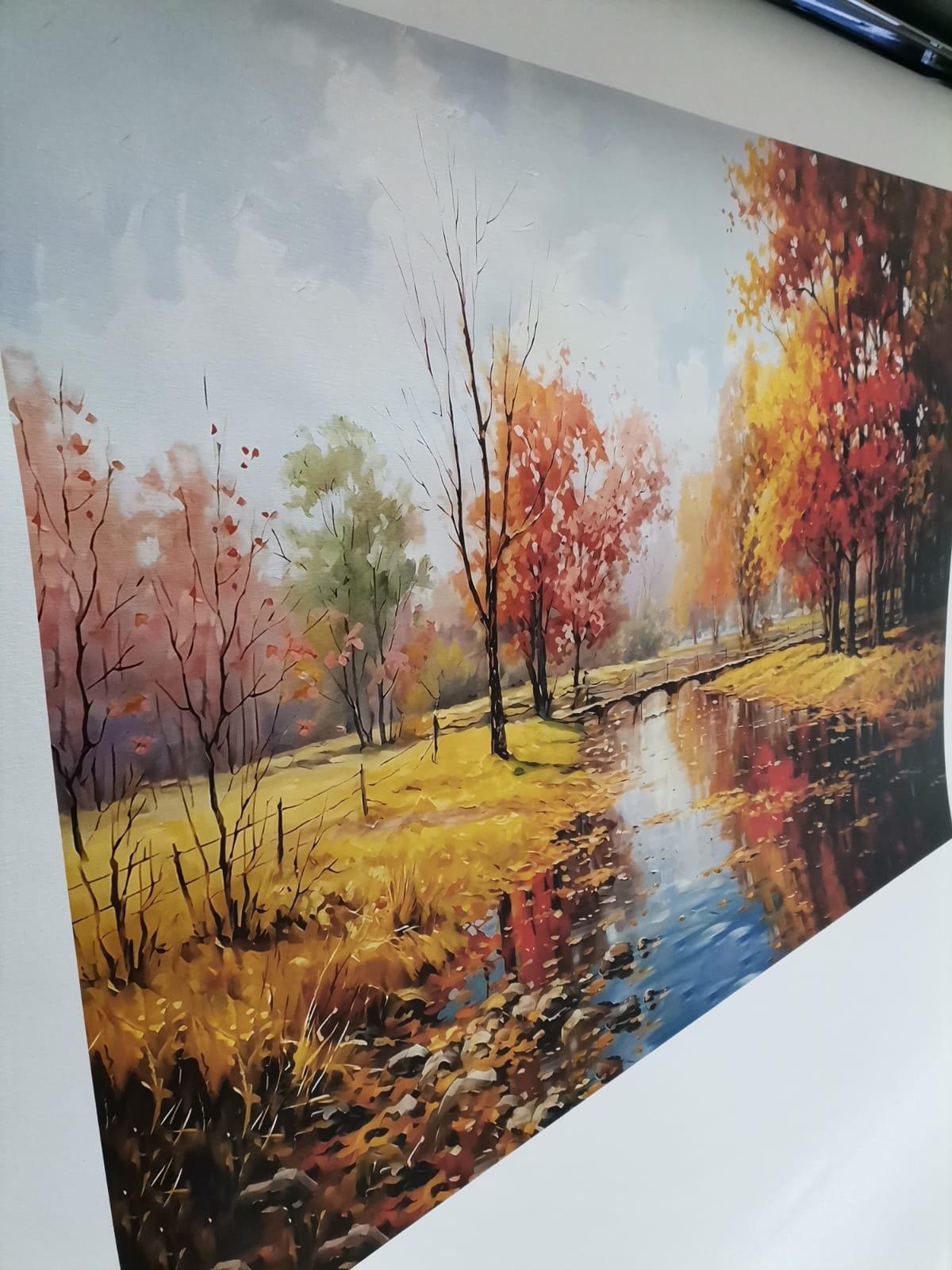 Canvas Premium - 17