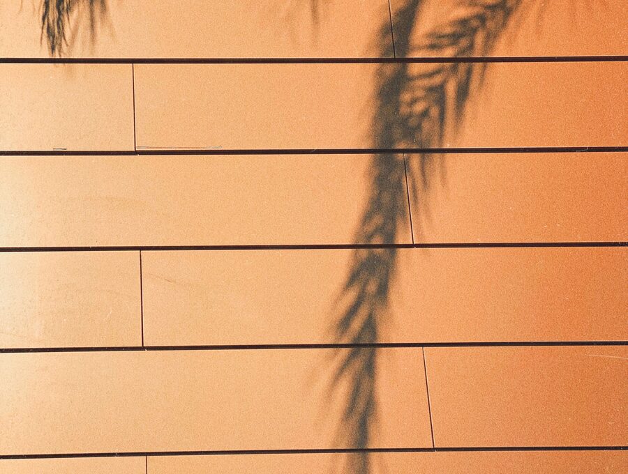Mural Sombra Tropical